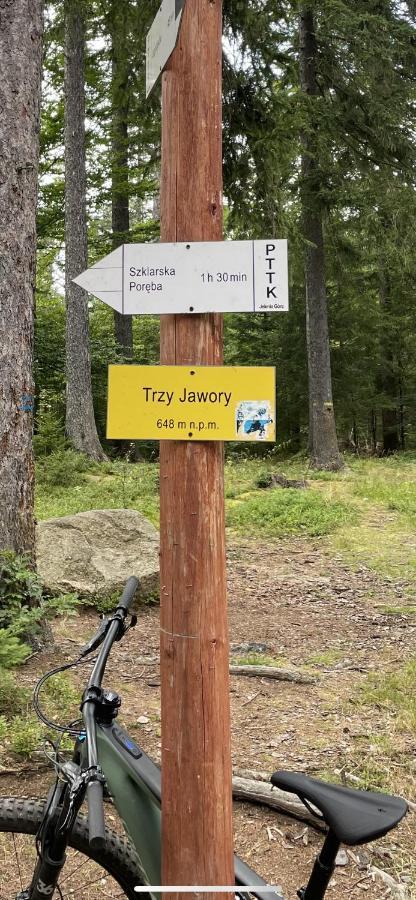 Вилла Trzy Jawory Пеховице Экстерьер фото